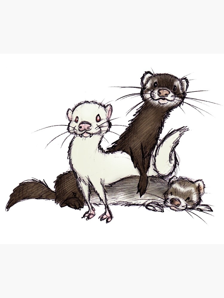 "Cute Ferrets Shirt Gift For Ferrets Lovers" Travel Coffee Mug for Sale by Galvanized Redbubble