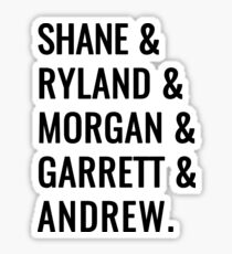 Shane & Friends Sticker