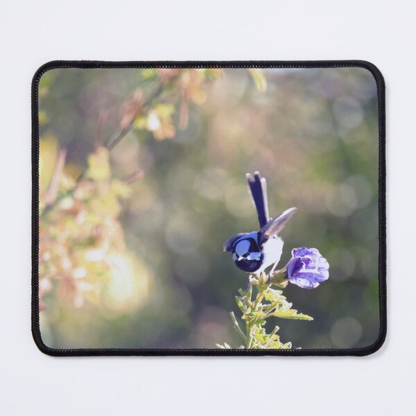Item preview, Superb Fairywren designed and sold by imaginethis.