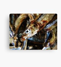 R = fsin(θ) Canvas Print