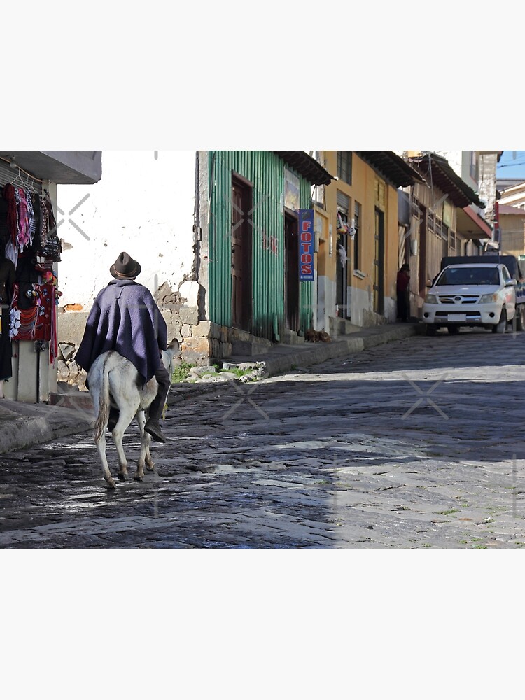 Man wearing purple poncho rides donkey up cobblestone street in Guamote, Ecuador by kpander