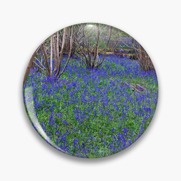 Item preview, Bluebell Woods Bluebells Basildon Park Reading Berkshire designed and sold by AndyEvansPhotos.