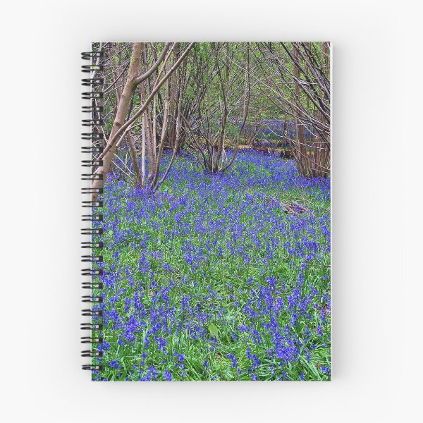 Item preview, Bluebell Woods Bluebells Basildon Park Reading Berkshire designed and sold by AndyEvansPhotos.