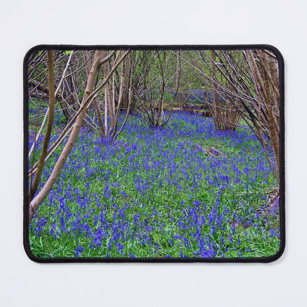 Item preview, Bluebell Woods Bluebells Basildon Park Reading Berkshire designed and sold by AndyEvansPhotos.