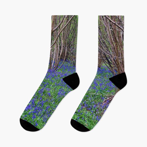Item preview, Bluebell Woods Bluebells Basildon Park Reading Berkshire designed and sold by AndyEvansPhotos.