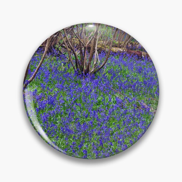 Item preview, Bluebell Woods Bluebells Basildon Park Reading Berkshire designed and sold by AndyEvansPhotos.