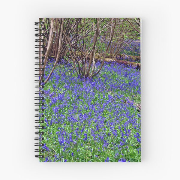 Item preview, Bluebell Woods Bluebells Basildon Park Reading Berkshire designed and sold by AndyEvansPhotos.