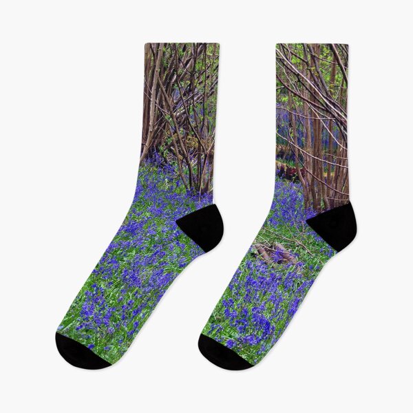 Item preview, Bluebell Woods Bluebells Basildon Park Reading Berkshire designed and sold by AndyEvansPhotos.