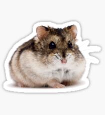 Cute Hamster Shirt - Gift For Hamster Fans And Hamster Lovers Sticker