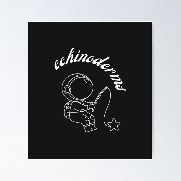 Item preview, Echinoderms designed and sold by R&C.