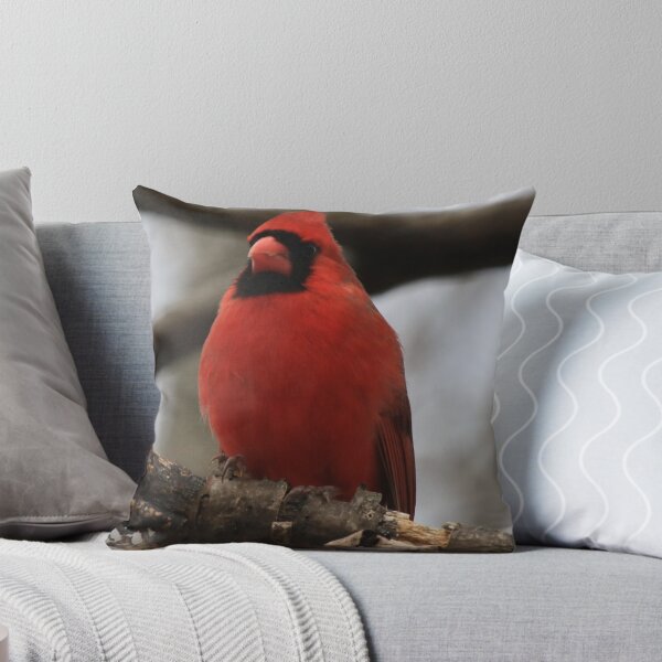 Aperçu de l'œuvre Male Cardinal-Looking Handsome créée et vendue par Chris Coates Photography.com.