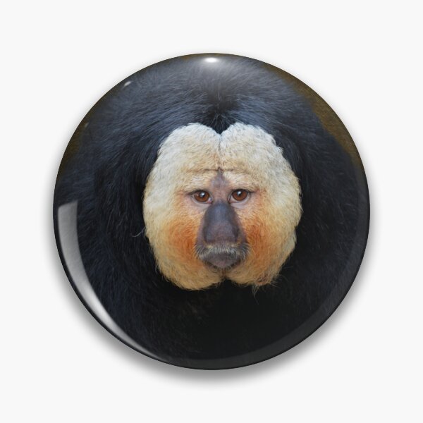 Item preview, White Faced Saki Monkey designed and sold by Savannah Gibbs.