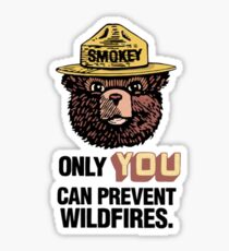 Pegatina Smokey The Bear