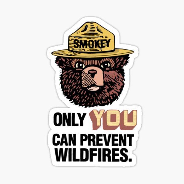 Smokey The Bear Sticker