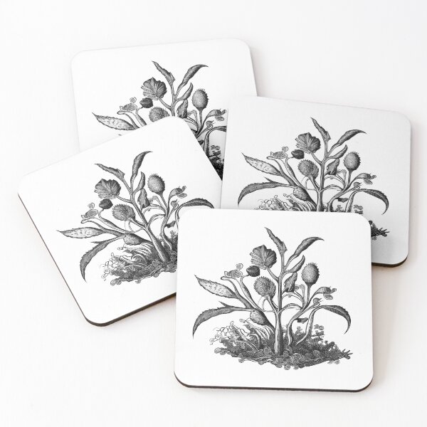 Item preview, Botanical engraving designed and sold by UrbanHedgehog.