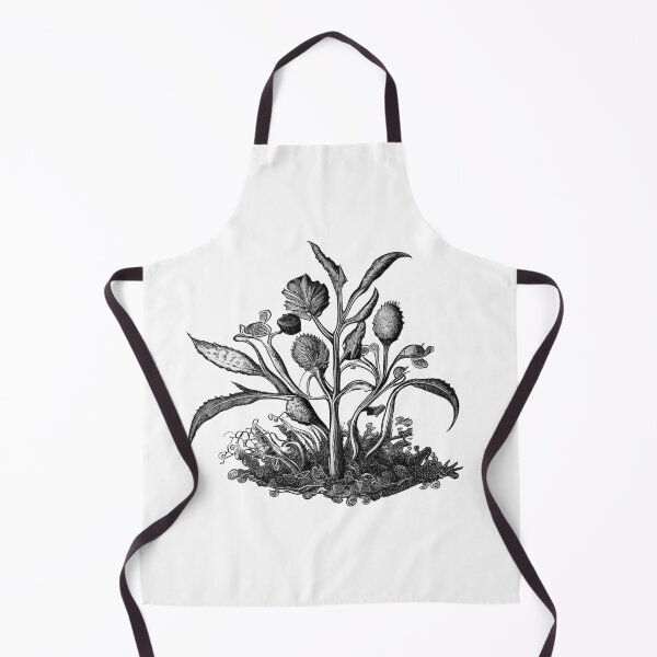 Item preview, Botanical engraving designed and sold by UrbanHedgehog.
