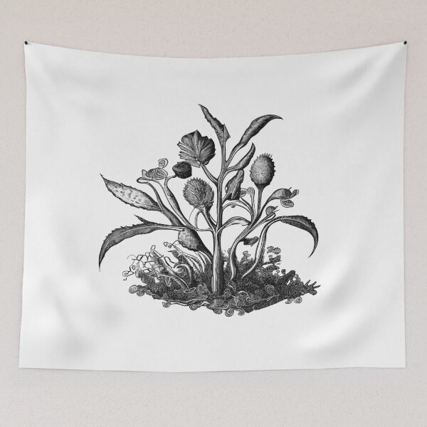 Item preview, Botanical engraving designed and sold by UrbanHedgehog.