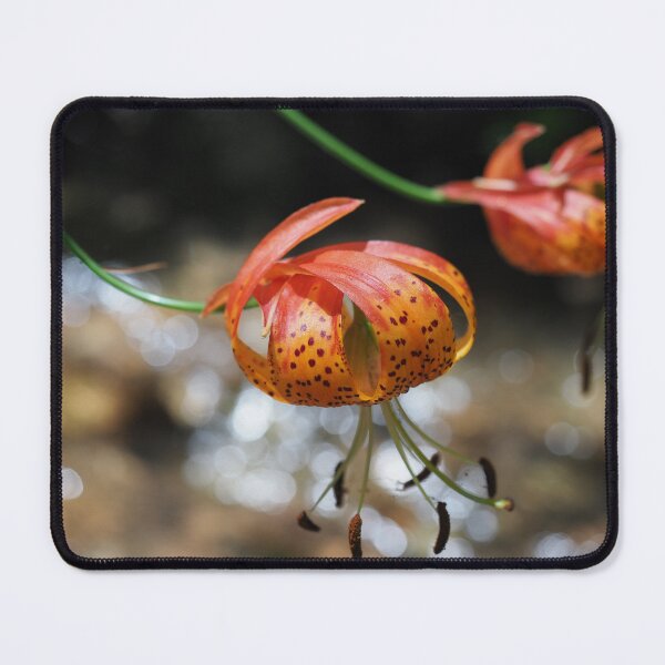 Item preview, Leopard Lilies designed and sold by happynaturalist.