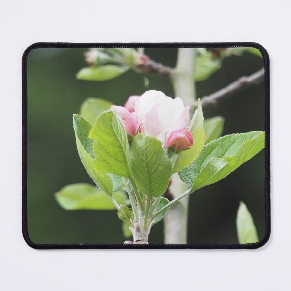 Item preview, Apple Blossom designed and sold by happynaturalist.