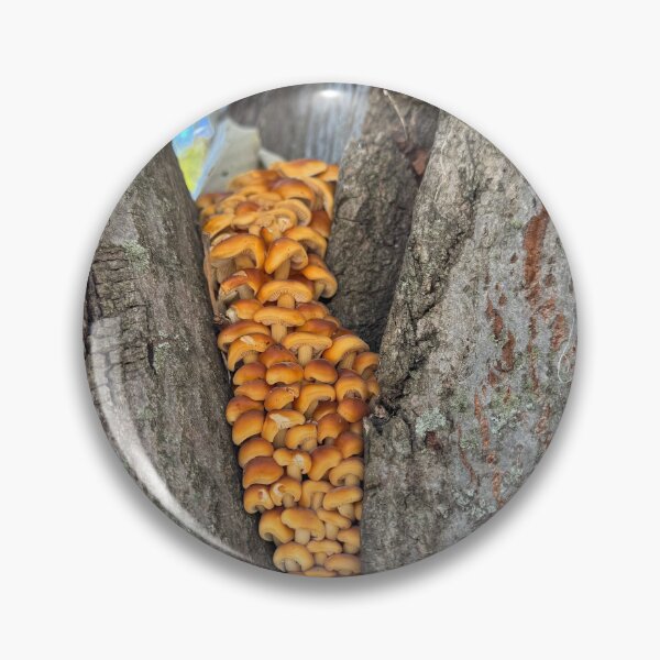 Item preview, Mushrooms designed and sold by QCPhotography.