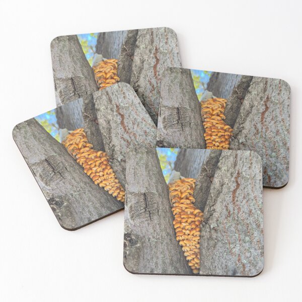 Item preview, Mushrooms designed and sold by QCPhotography.
