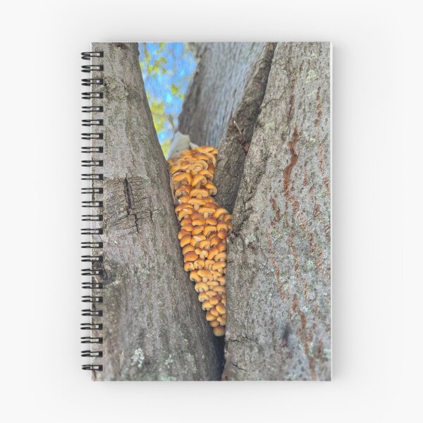 Item preview, Mushrooms designed and sold by QCPhotography.