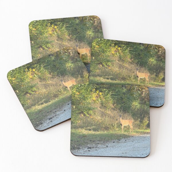 Item preview, Wildcat Den 1 designed and sold by QCPhotography.