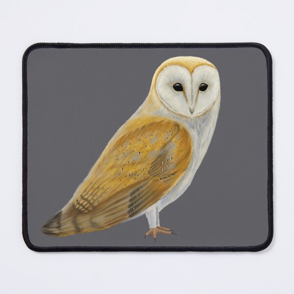 Item preview, Barn owl illustration designed and sold by Milanicole.