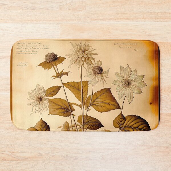 Item preview, Botanical drawing in vintage style designed and sold by LanaGustavsson.