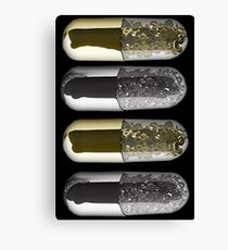 Capsule Canvas Print