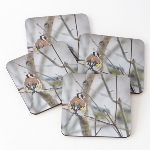Item preview, Those blue tits make me blush. European goldfinch designed and sold by Jouko Lehto Photography.