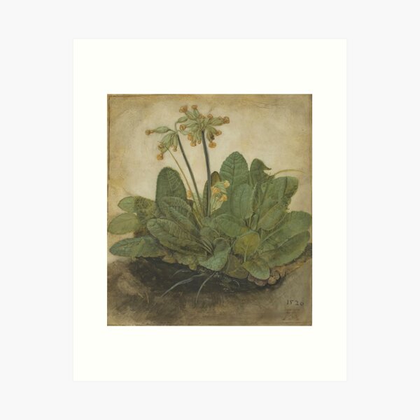 Item preview, Albrecht Durer paintings, albrecht durer self portrait, albrecht durer art style designed and sold by The art world.