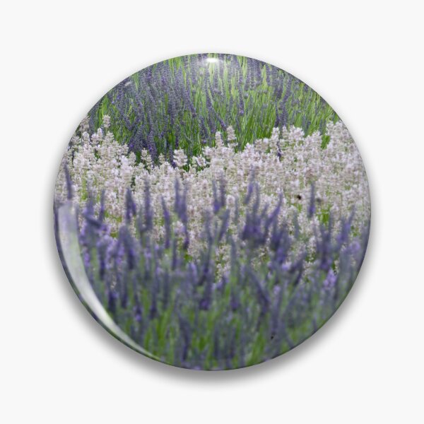Item preview,  Digital Photograph of Lavender field designed and sold by SimonJohnson1.