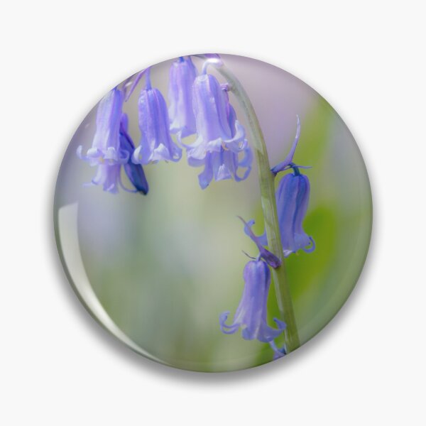 Item preview,  Digital Photograph of  bluebell with soft focus designed and sold by SimonJohnson1.