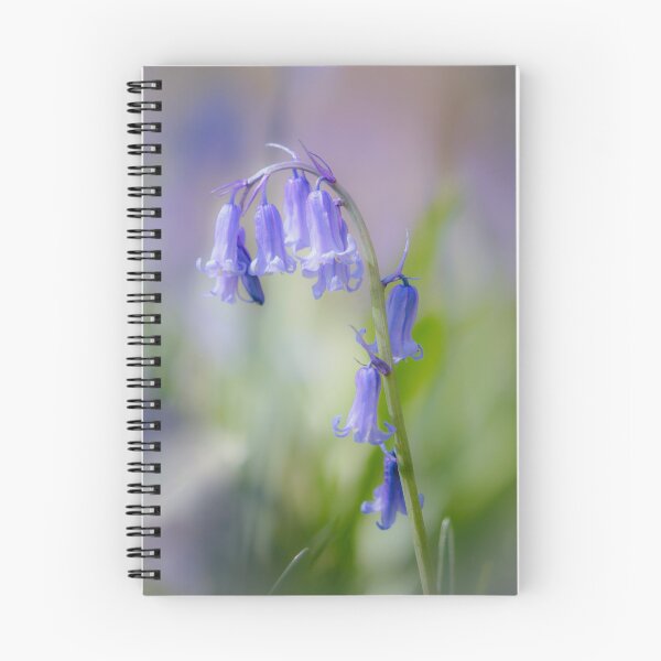 Item preview,  Digital Photograph of  bluebell with soft focus designed and sold by SimonJohnson1.