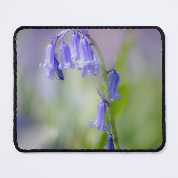 Item preview,  Digital Photograph of  bluebell with soft focus designed and sold by SimonJohnson1.