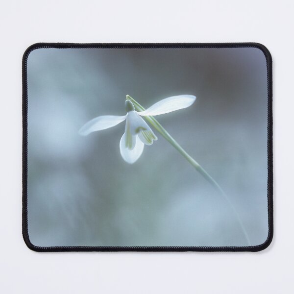 Item preview, Digital Photograph of snowdrop flower designed and sold by SimonJohnson1.