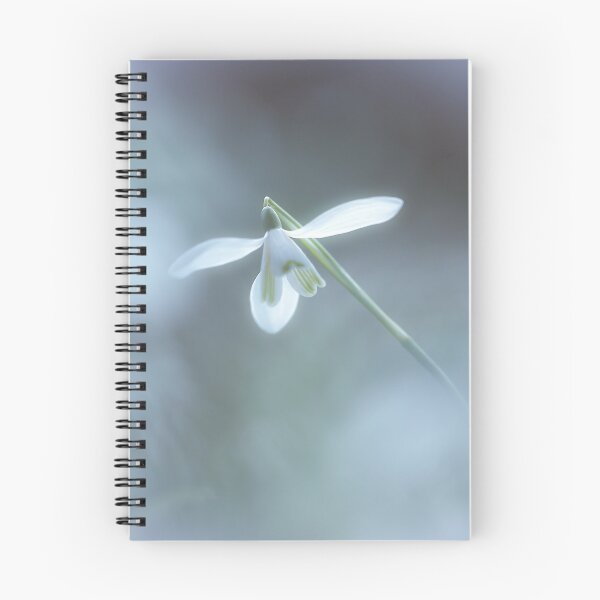 Item preview,  Digital Photograph of snowdrop flower designed and sold by SimonJohnson1.