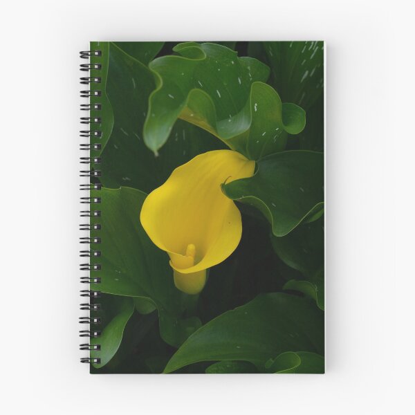 Item preview, Cala Lily  designed and sold by Michelle Burke.