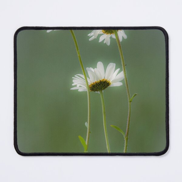 Item preview, Digital Photograph of Daisy's designed and sold by SimonJohnson1.