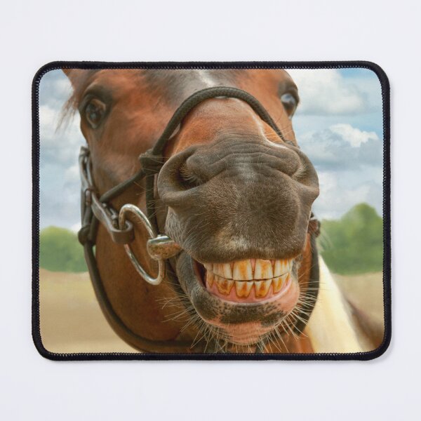 Item preview, Animal - Horse - I finally got my braces off designed and sold by Mike Savad Photography.