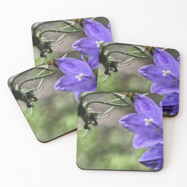 Item preview, Bellflower designed and sold by Jason Tompkins.