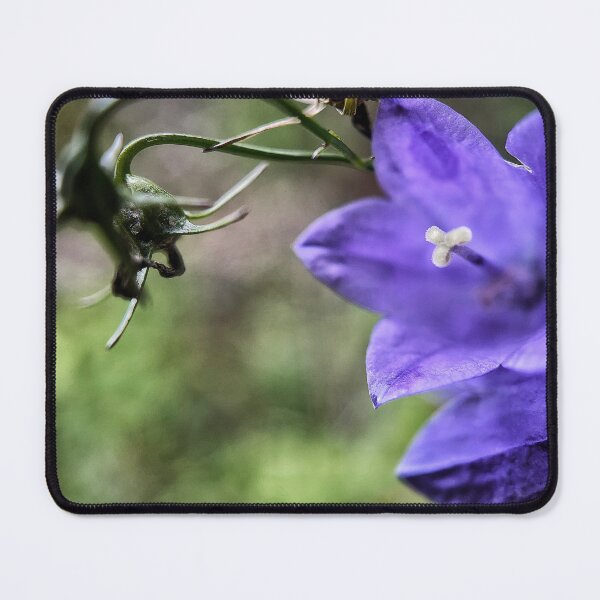 Item preview, Bellflower designed and sold by Jason Tompkins.