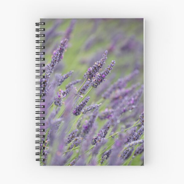 Item preview,  Digital Photograph of Lavender close up designed and sold by SimonJohnson1.