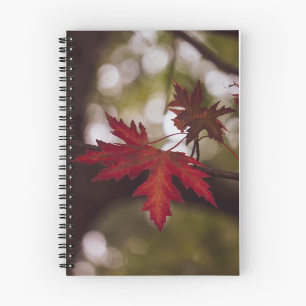Item preview, Autumn Arrives designed and sold by TheeForestFox Shop.