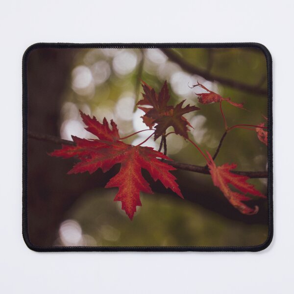 Item preview, Autumn Arrives designed and sold by TheeForestFox Shop.