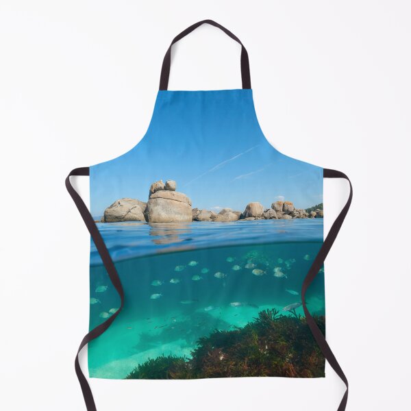 Item preview, Spain Atlantic ocean coastline with boulders and fish underwater designed and sold by Seaphotoart.