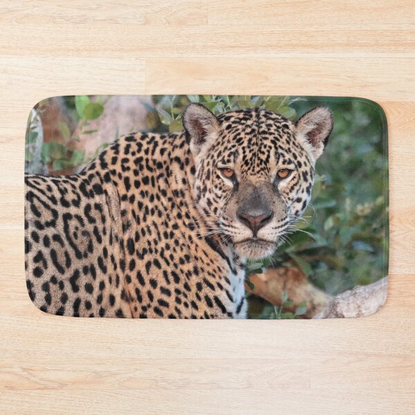 Item preview, Jaguar of the Pantanal designed and sold by Marion Joncheres.