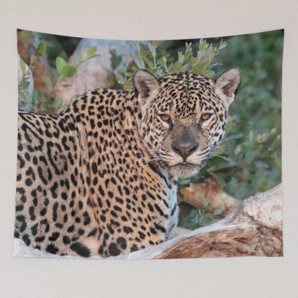 Item preview, Jaguar of the Pantanal designed and sold by Marion Joncheres.