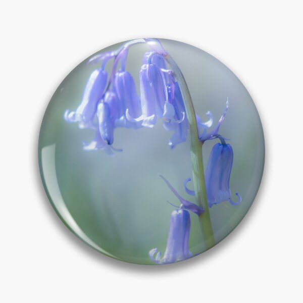 Item preview,  Digital Photograph of bluebell flower designed and sold by SimonJohnson1.